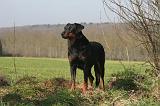 BEAUCERON 1021